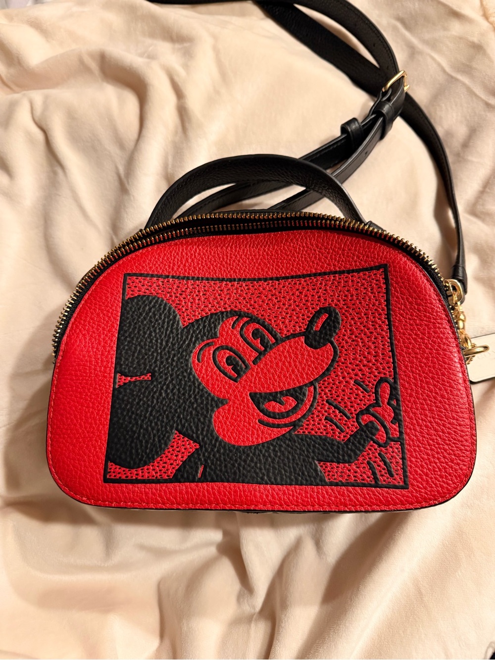Coach Mickey Mouse x Keith Haring